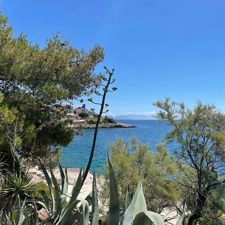 Apartments Papic Trogir Kültér fotó